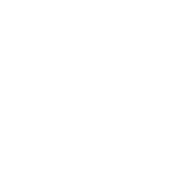 Github Icon / button