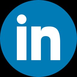 LinkedIn Icon / button